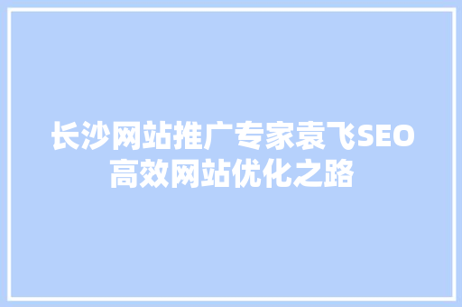 长沙网站推广专家袁飞SEO高效网站优化之路