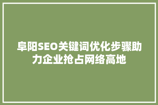 阜阳SEO关键词优化步骤助力企业抢占网络高地