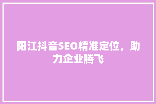 阳江抖音SEO精准定位，助力企业腾飞