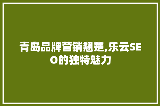 青岛品牌营销翘楚,乐云SEO的独特魅力