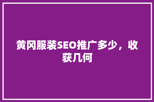 黄冈服装SEO推广多少，收获几何