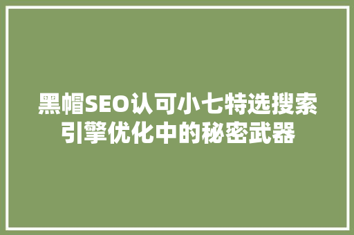 黑帽SEO认可小七特选搜索引擎优化中的秘密武器