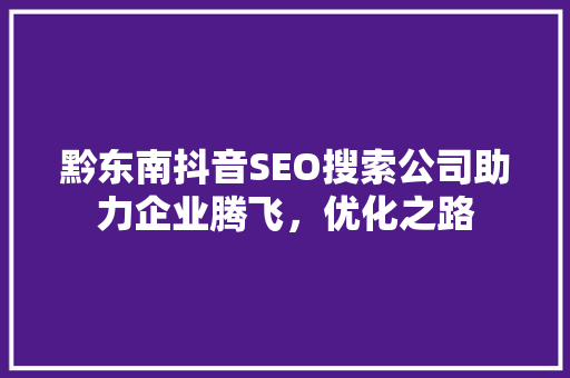 黔东南抖音SEO搜索公司助力企业腾飞，优化之路