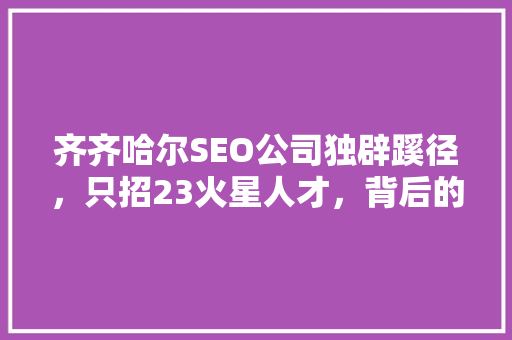 齐齐哈尔SEO公司独辟蹊径，只招23火星人才，背后的战略布局