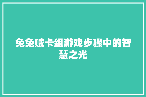 兔兔贼卡组游戏步骤中的智慧之光