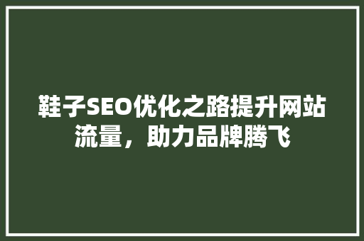 鞋子SEO优化之路提升网站流量，助力品牌腾飞