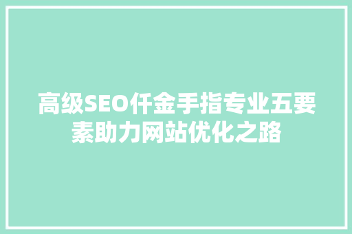 高级SEO仟金手指专业五要素助力网站优化之路