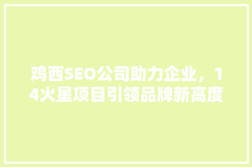 鸡西SEO公司助力企业，14火星项目引领品牌新高度