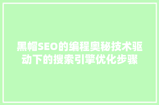 黑帽SEO的编程奥秘技术驱动下的搜索引擎优化步骤