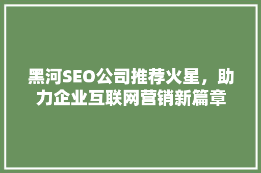 黑河SEO公司推荐火星，助力企业互联网营销新篇章