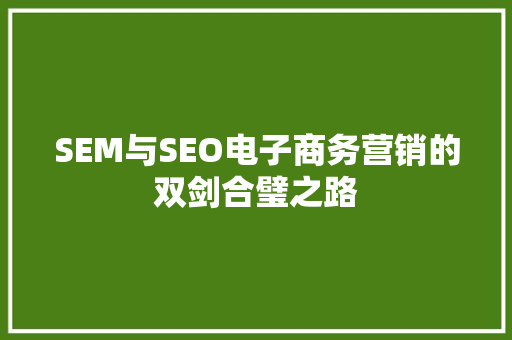 SEM与SEO电子商务营销的双剑合璧之路