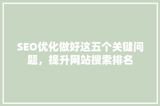 SEO优化做好这五个关键问题，提升网站搜索排名  第1张