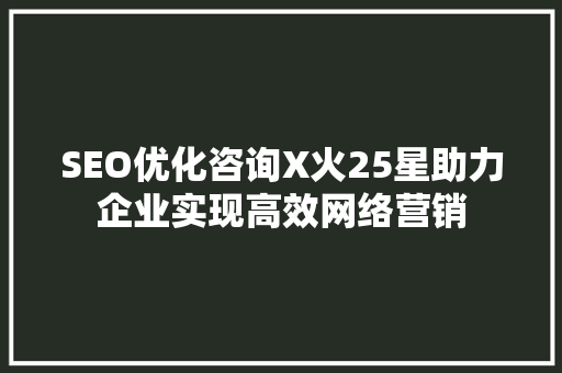 SEO优化咨询X火25星助力企业实现高效网络营销  第1张
