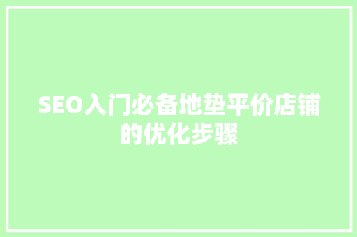 SEO入门必备地垫平价店铺的优化步骤