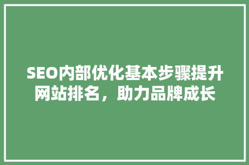 SEO内部优化基本步骤提升网站排名，助力品牌成长