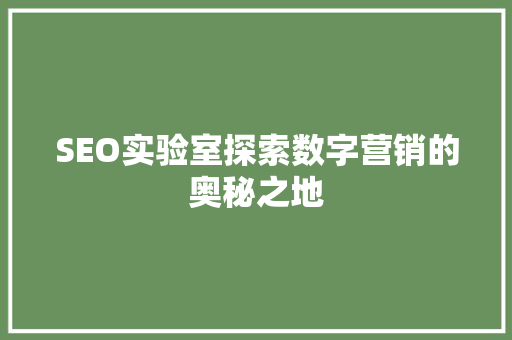 SEO实验室探索数字营销的奥秘之地  第1张