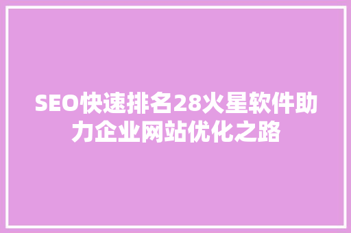 SEO快速排名28火星软件助力企业网站优化之路