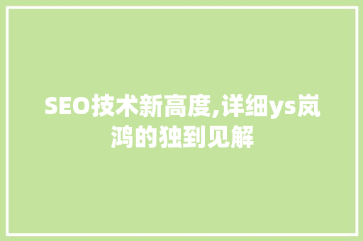 SEO技术新高度,详细ys岚鸿的独到见解