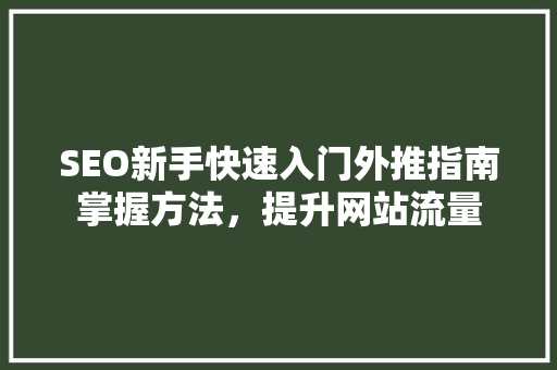 SEO新手快速入门外推指南掌握方法，提升网站流量  第1张