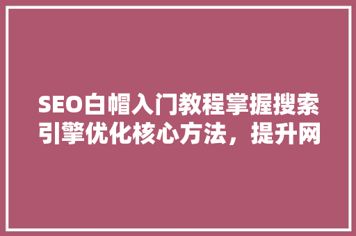 SEO白帽入门教程掌握搜索引擎优化核心方法，提升网站排名