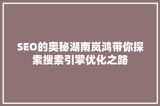 SEO的奥秘湖南岚鸿带你探索搜索引擎优化之路