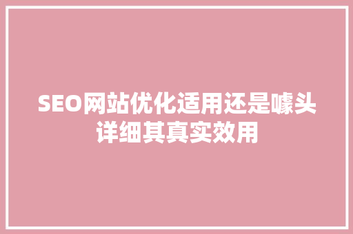 SEO网站优化适用还是噱头详细其真实效用