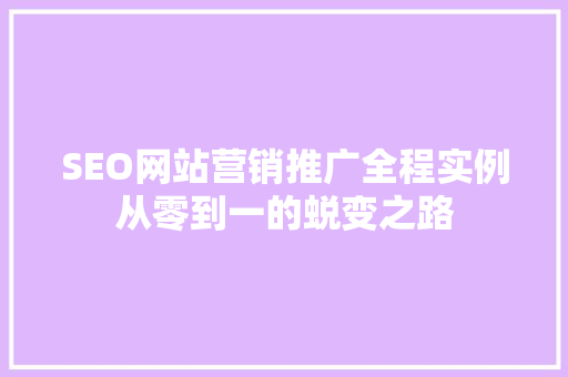 SEO网站营销推广全程实例从零到一的蜕变之路