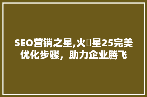 SEO营销之星,火乛星25完美优化步骤，助力企业腾飞