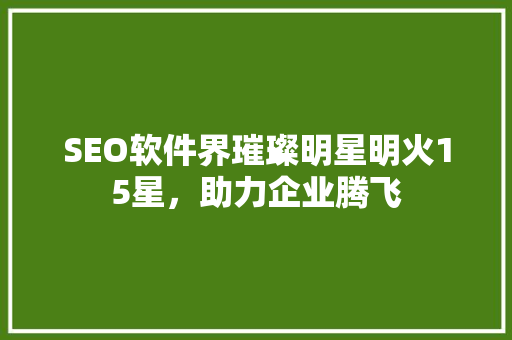 SEO软件界璀璨明星明火15星，助力企业腾飞