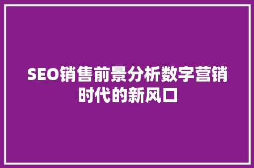 SEO销售前景分析数字营销时代的新风口