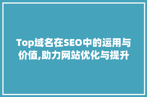 Top域名在SEO中的运用与价值,助力网站优化与提升排名