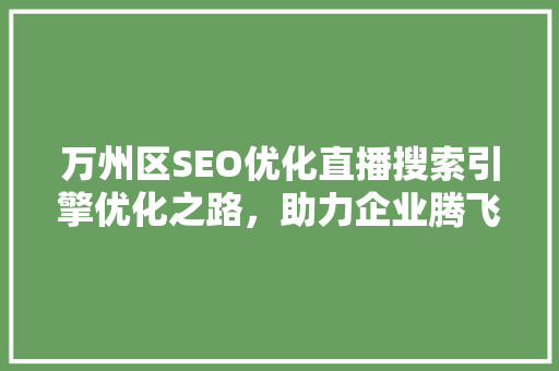 万州区SEO优化直播搜索引擎优化之路，助力企业腾飞