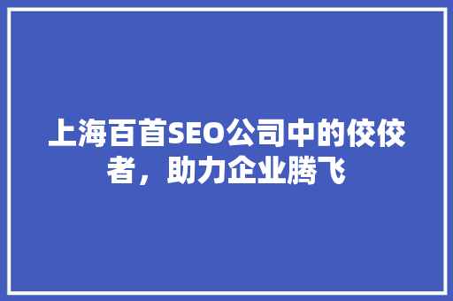 上海百首SEO公司中的佼佼者，助力企业腾飞  第1张
