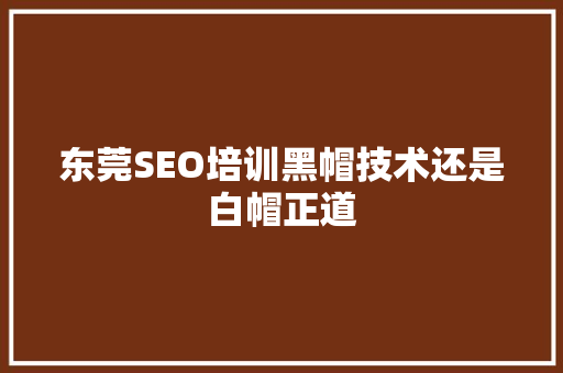 东莞SEO培训黑帽技术还是白帽正道