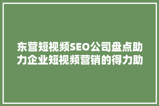 东营短视频SEO公司盘点助力企业短视频营销的得力助手