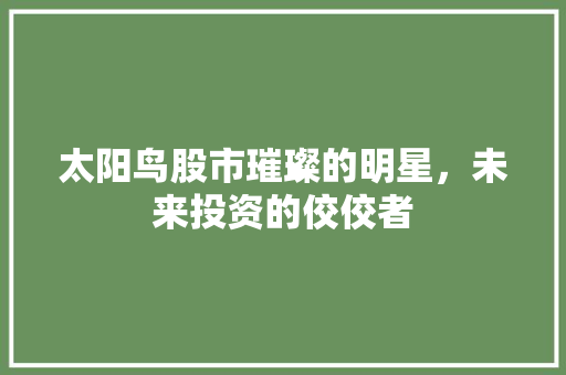 太阳鸟股市璀璨的明星，未来投资的佼佼者