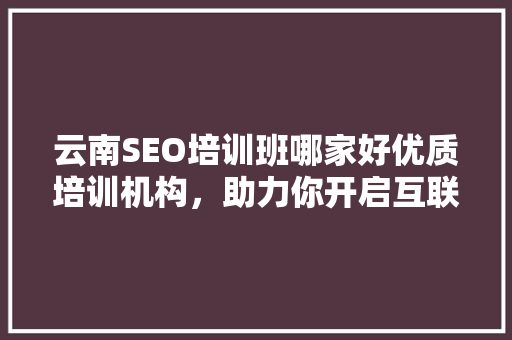 云南SEO培训班哪家好优质培训机构，助力你开启互联网营销之旅