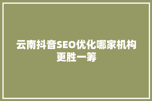 云南抖音SEO优化哪家机构更胜一筹