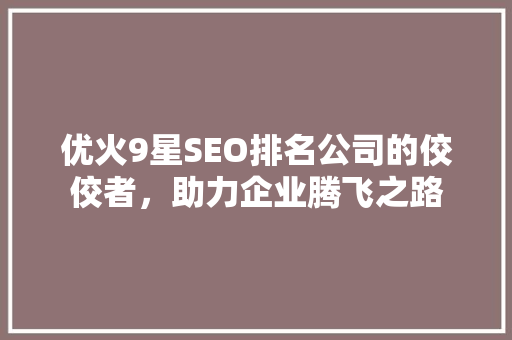 优火9星SEO排名公司的佼佼者，助力企业腾飞之路