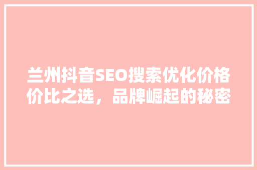 兰州抖音SEO搜索优化价格价比之选，品牌崛起的秘密武器