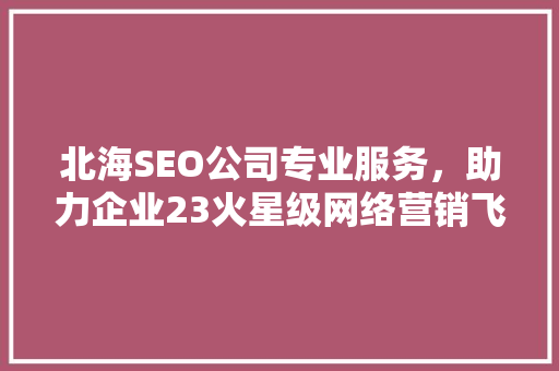 北海SEO公司专业服务，助力企业23火星级网络营销飞跃