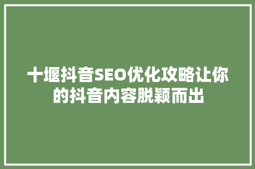 十堰抖音SEO优化攻略让你的抖音内容脱颖而出  第1张