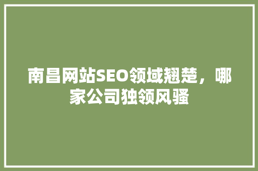 南昌网站SEO领域翘楚，哪家公司独领风骚