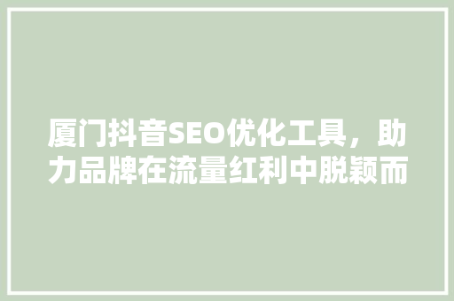 厦门抖音SEO优化工具，助力品牌在流量红利中脱颖而出