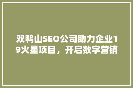 双鸭山SEO公司助力企业19火星项目，开启数字营销新篇章