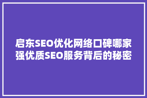 启东SEO优化网络口碑哪家强优质SEO服务背后的秘密  第1张