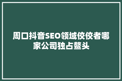 周口抖音SEO领域佼佼者哪家公司独占鳌头