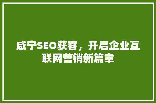 咸宁SEO获客，开启企业互联网营销新篇章