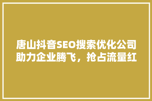 唐山抖音SEO搜索优化公司助力企业腾飞，抢占流量红利  第1张