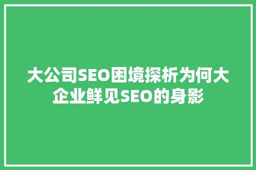 大公司SEO困境探析为何大企业鲜见SEO的身影